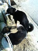 �肦����񂨉œ���