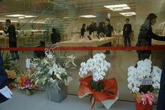 �摜(240x159)�E�g��摜(600x400)