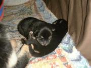 �摜(180x135)�E�g��摜(640x480)