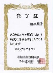 �G�N�Z���u�K�i6�j