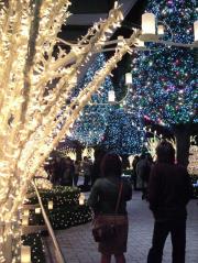 �摜(180x239)�E�g��摜(427x567)