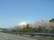 �摜(180x135)�E�g��摜(640x480)