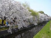 �قĂ��t�܂�