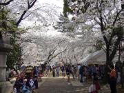 �摜(180x135)�E�g��摜(640x480)