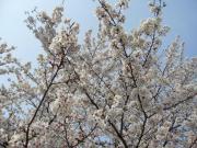 �摜(180x135)�E�g��摜(640x480)