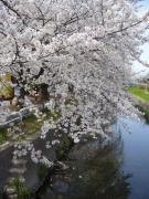 �摜(135x180)�E�g��摜(480x640)