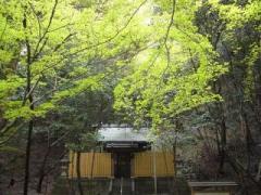 �摜(240x180)�E�g��摜(640x480)