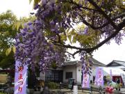 �摜(180x135)�E�g��摜(640x480)