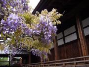 �摜(180x135)�E�g��摜(640x480)