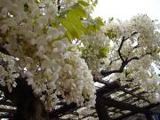 �摜(180x135)�E�g��摜(640x480)