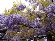 �摜(180x135)�E�g��摜(640x480)