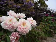 �摜(180x135)�E�g��摜(640x480)