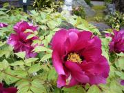 �摜(180x135)�E�g��摜(640x480)