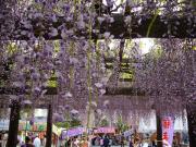 �摜(180x135)�E�g��摜(640x480)