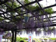 �摜(180x135)�E�g��摜(640x480)