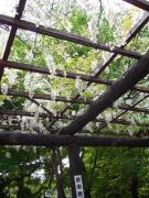 �摜(135x180)�E�g��摜(480x640)