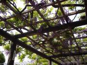 �摜(180x135)�E�g��摜(640x480)