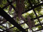 �摜(180x135)�E�g��摜(640x480)