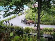 �摜(180x135)�E�g��摜(640x480)