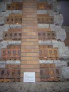 �摜(135x180)�E�g��摜(480x640)