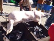 �Ԃ��܂�t�@�C�i��