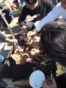 �摜(135x180)�E�g��摜(480x640)