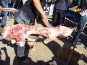 �摜(180x135)�E�g��摜(640x480)