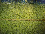 �摜(180x135)�E�g��摜(640x480)