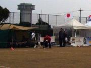 �摜(180x135)�E�g��摜(640x480)