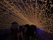 �摜(180x135)�E�g��摜(640x480)