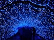 �摜(180x135)�E�g��摜(640x480)