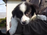 画像(180x135)・拡大画像(640x480)