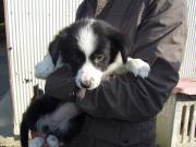 画像(180x135)・拡大画像(640x480)