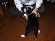 �摜(180x135)�E�g��摜(640x480)