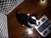 �摜(180x135)�E�g��摜(640x480)