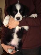 �f�W�J���ق�������