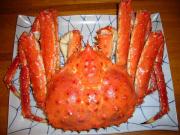 ����̃I�J�Y�͌��܂�܂������H