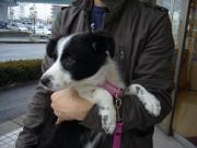 �摜(180x135)�E�g��摜(640x480)