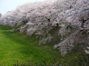 �摜(180x135)�E�g��摜(640x480)