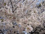 �摜(180x135)�E�g��摜(640x480)