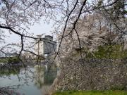 �摜(180x135)�E�g��摜(640x480)