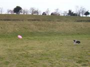 �f�B�X�N�����B�肽��