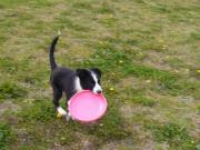 �摜(180x135)�E�g��摜(640x480)