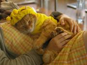 �摜(180x135)�E�g��摜(640x480)