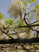 �摜(135x180)�E�g��摜(480x640)