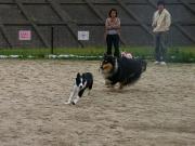 �����Βn�̃h�b�O����