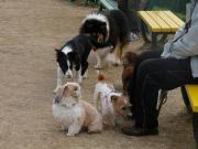 �摜(180x135)�E�g��摜(640x480)