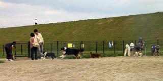 �摜(320x160)�E�g��摜(640x320)