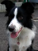 �����R���O����O�b�Y