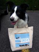 �摜(135x180)�E�g��摜(480x640)